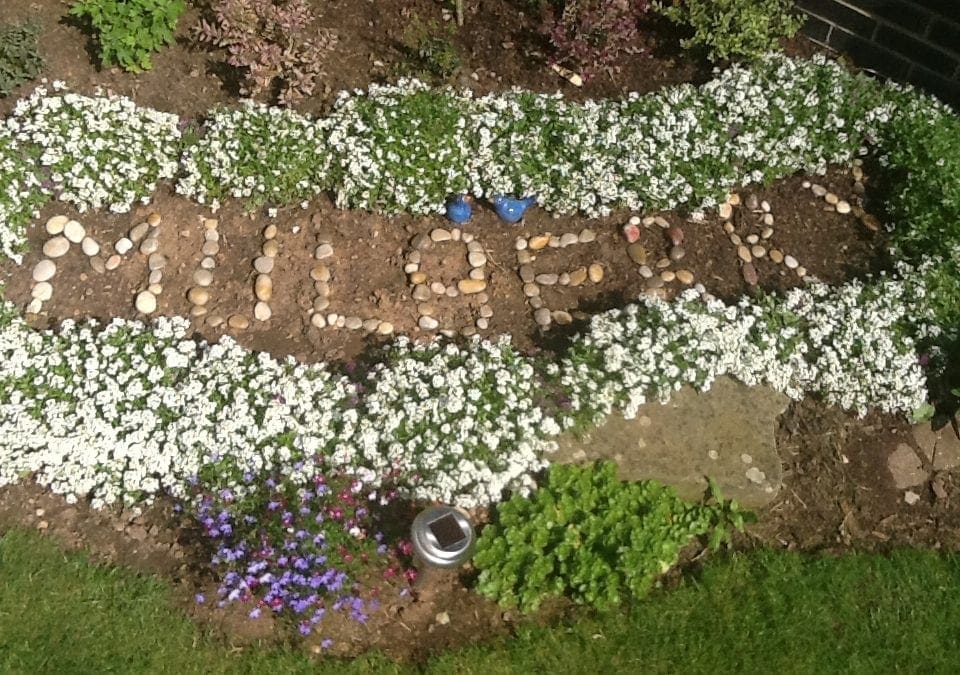 Mulberry Ward wins two awards in Cheltenham in Bloom competition